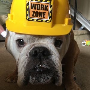 Meet your Posher, Jeff